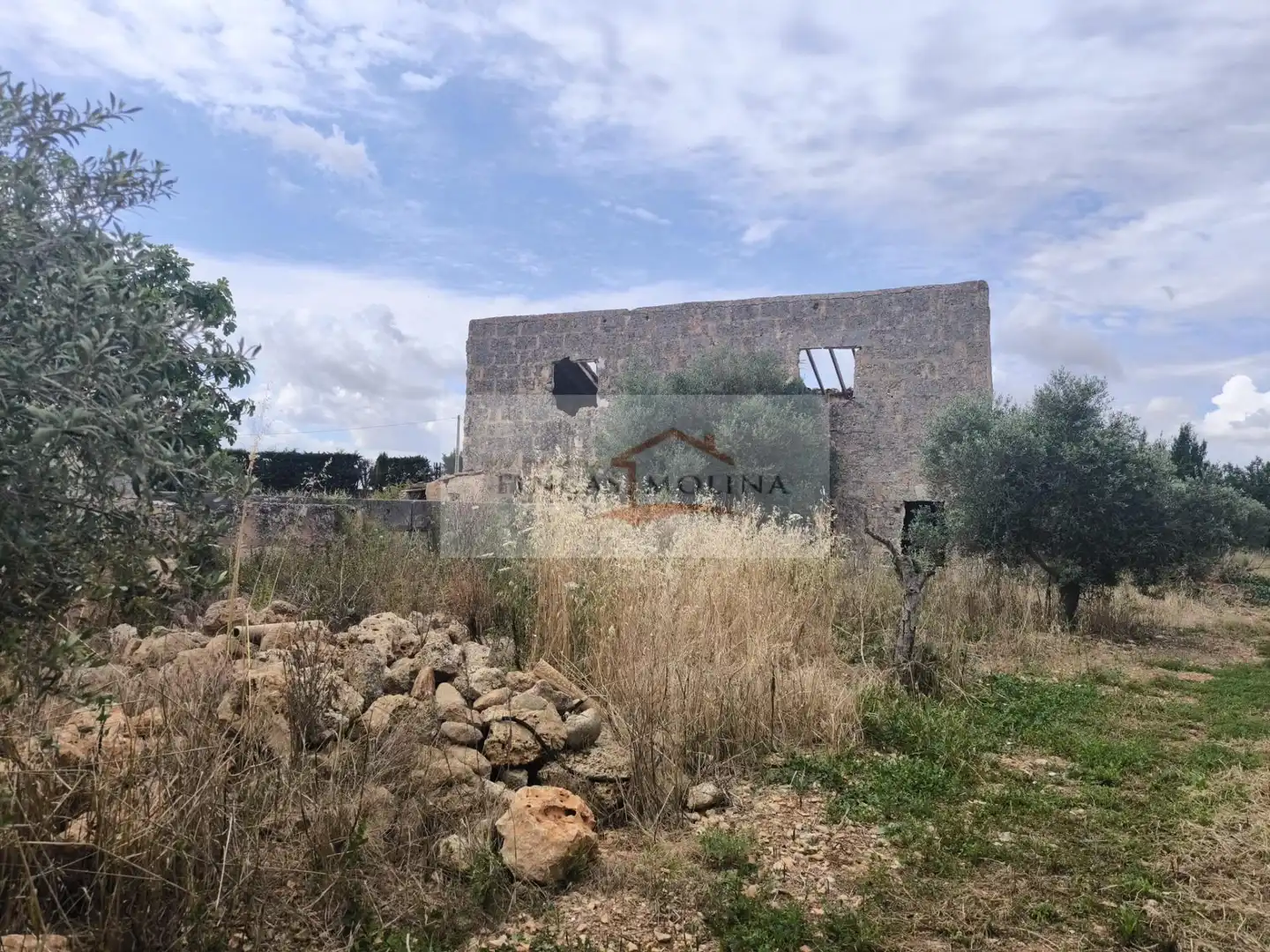 Terrenys i solars en venda a Sa Pobla, imagen 14