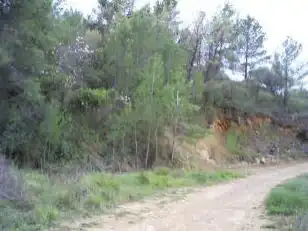 Terreno en venta en Llucena / Lucena del Cid