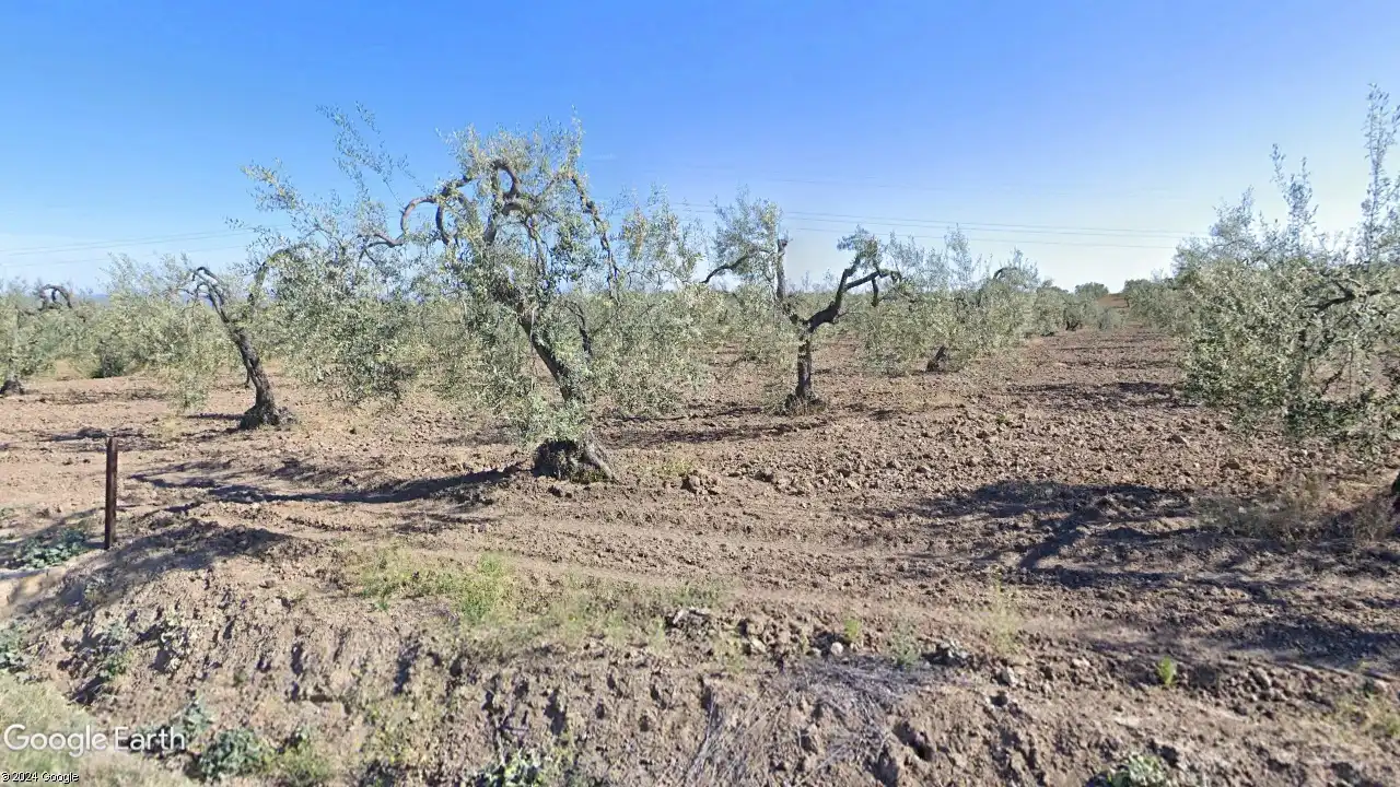 Rustikales Grundstück zum Verkauf in Albaida del Aljarafe