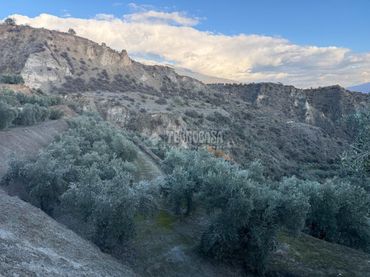 Terreno rustico in vendita a El Valle