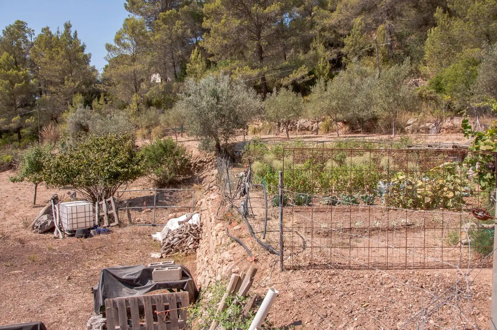 Villa avec jardin à vendre à Esporles, imagen 36