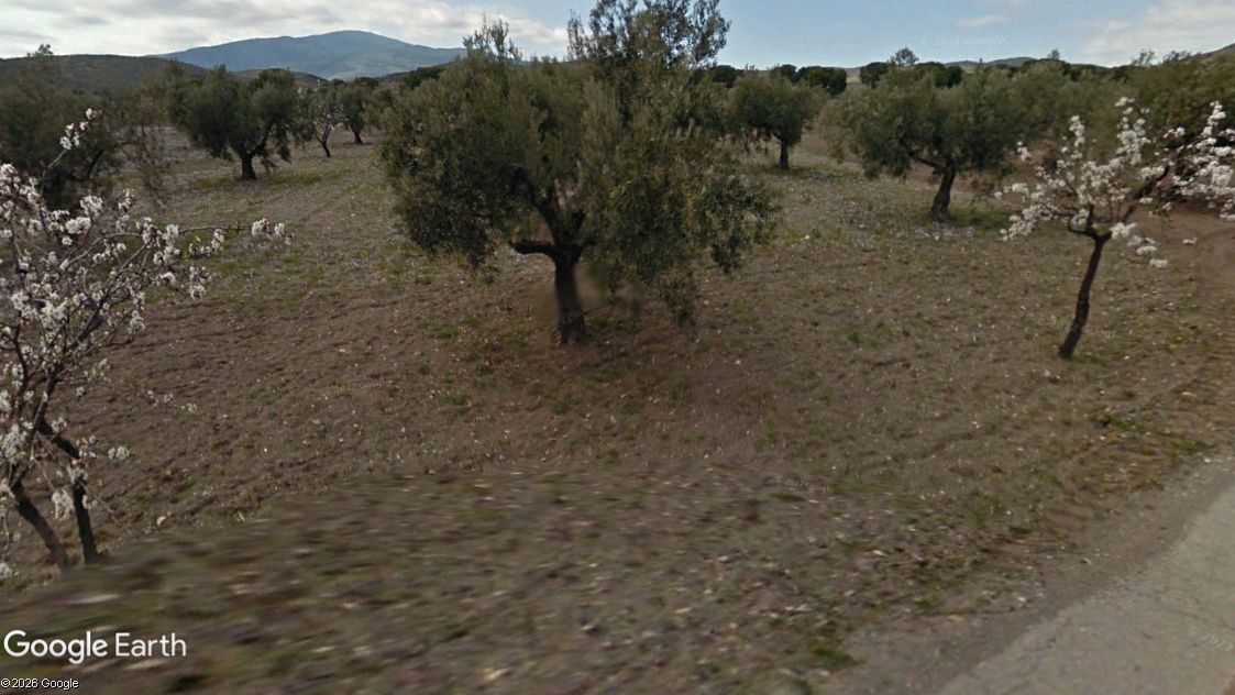 Land for sale in Alboloduy
