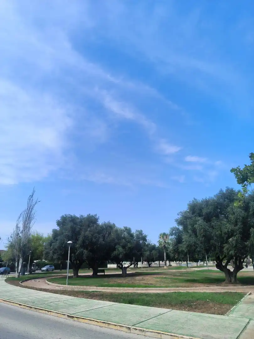 Vista exterior de Casa o xalet en venda en Los Alcázares amb Aire condicionat, Terrassa i Moblat