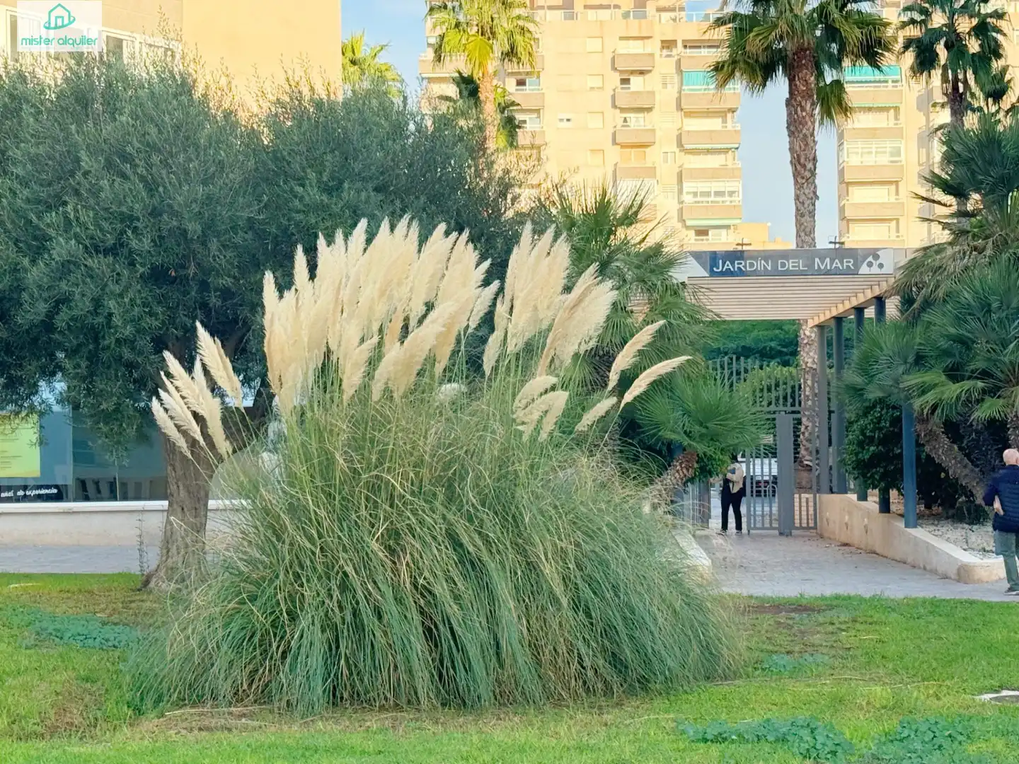 Apartament amb terrassa de lloguer a JAUME I EL CONQUERIDOR 3, imagen 19