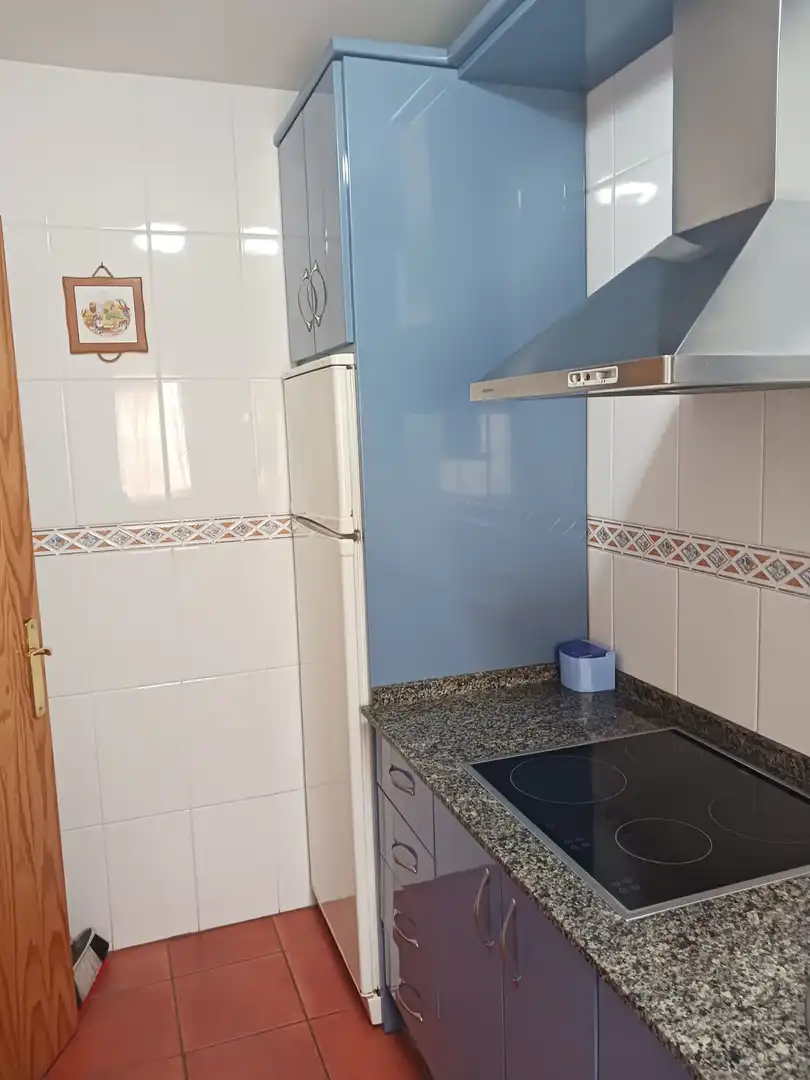 Apartments for rent in Carretera del Molino Viejo, Los Gallos