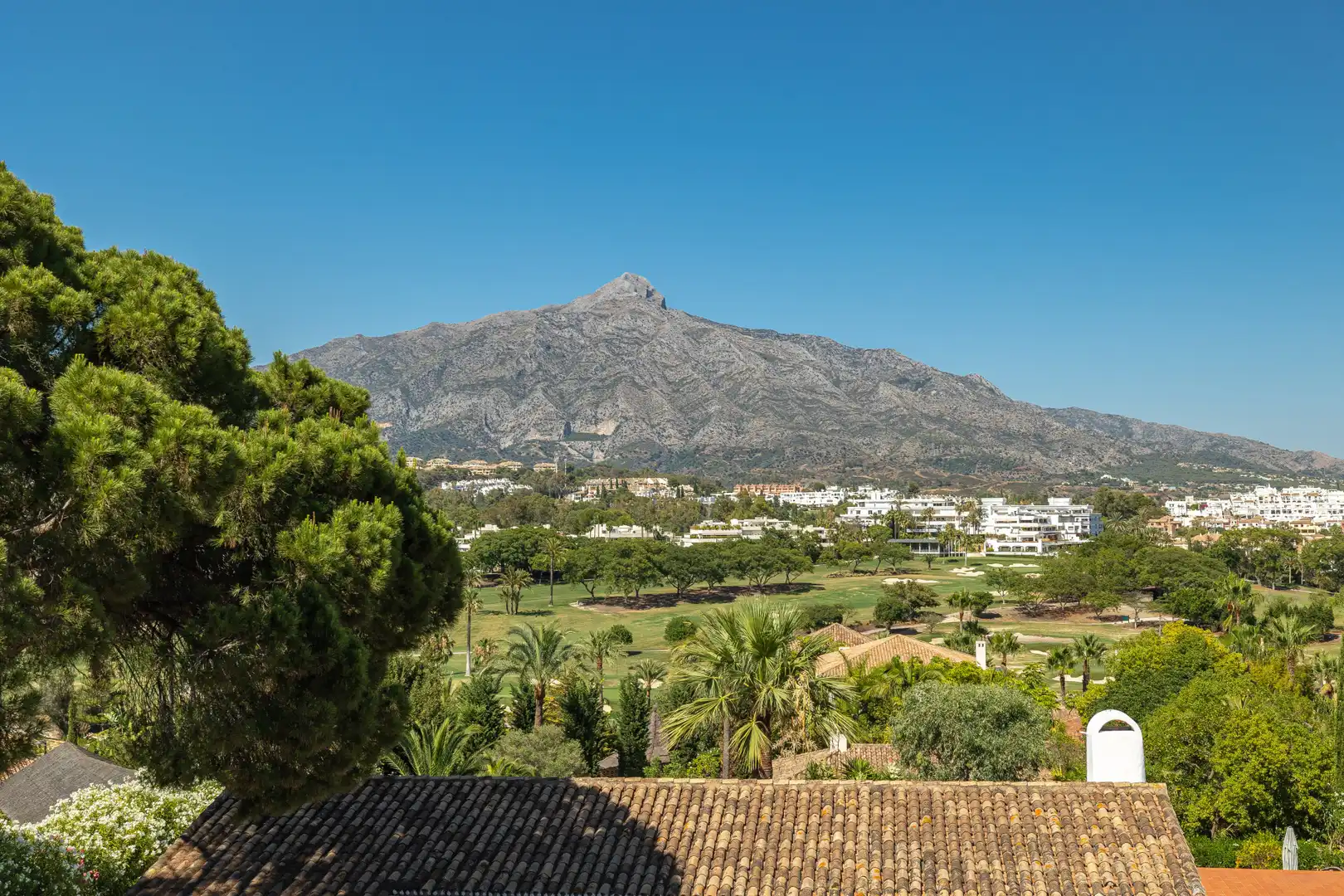 Vista exterior de Casa o xalet en venda en Nueva Andalucía