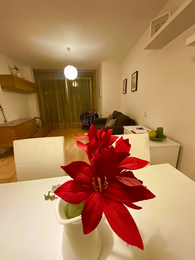 Sala d'estar de Pis en venda en Torrelavega  amb Calefacció, Parquet i Moblat