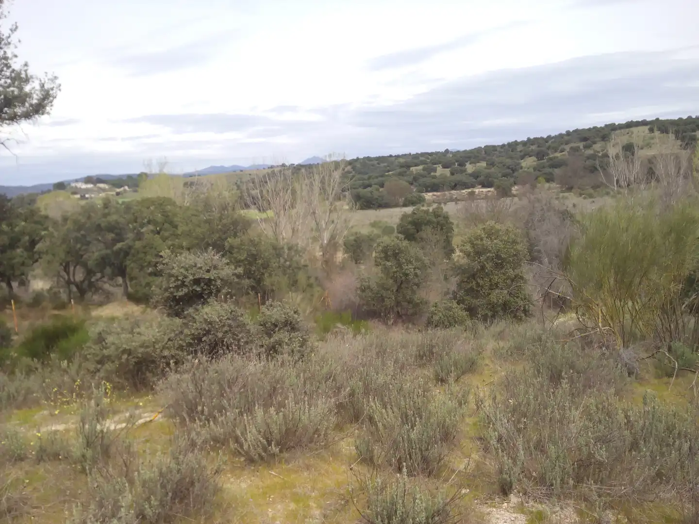 Terreno en venta en Aldea del Fresno