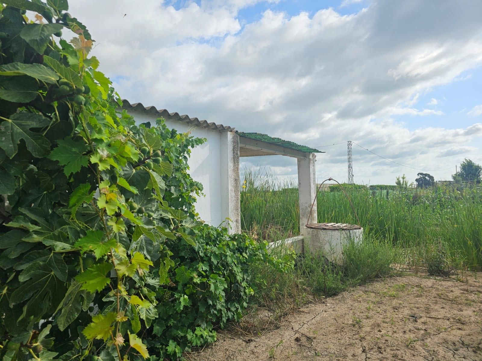 Finca rústica en venda en Sant Carles de la Ràpita
