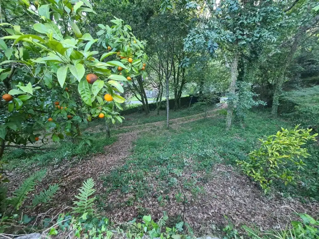 Casa o chalet en venta en Dodro con Jardín privado, Parquet y Trastero