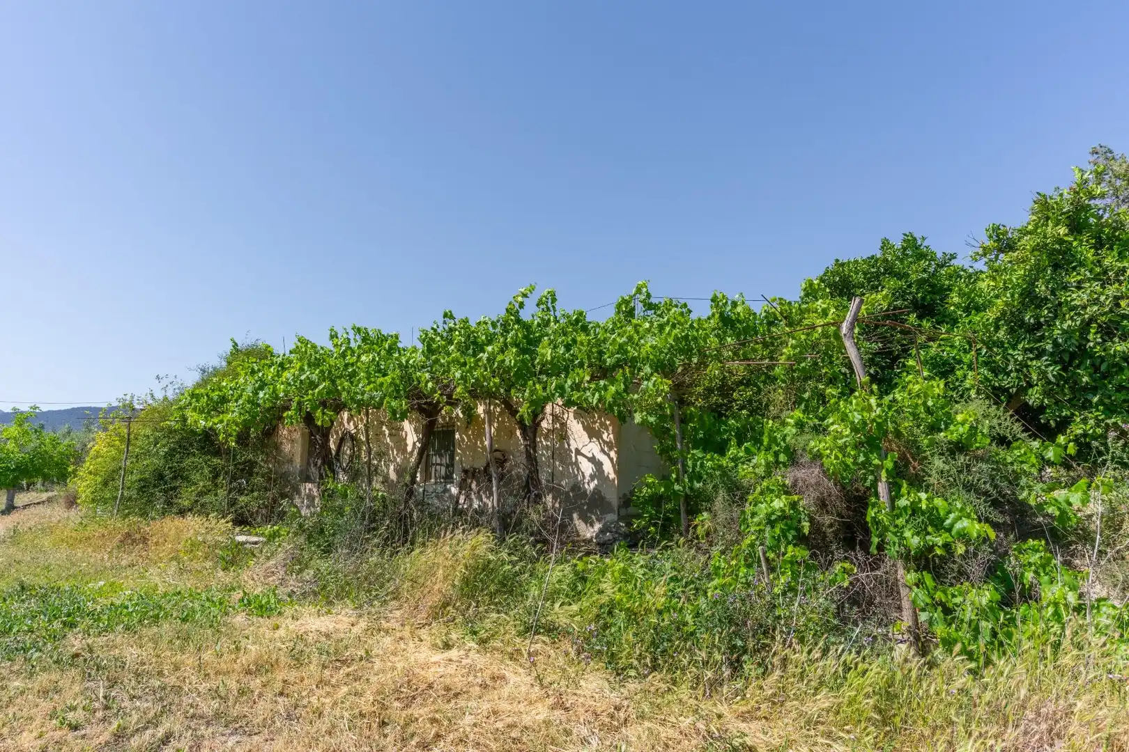 Terreno en venta en Tíjola