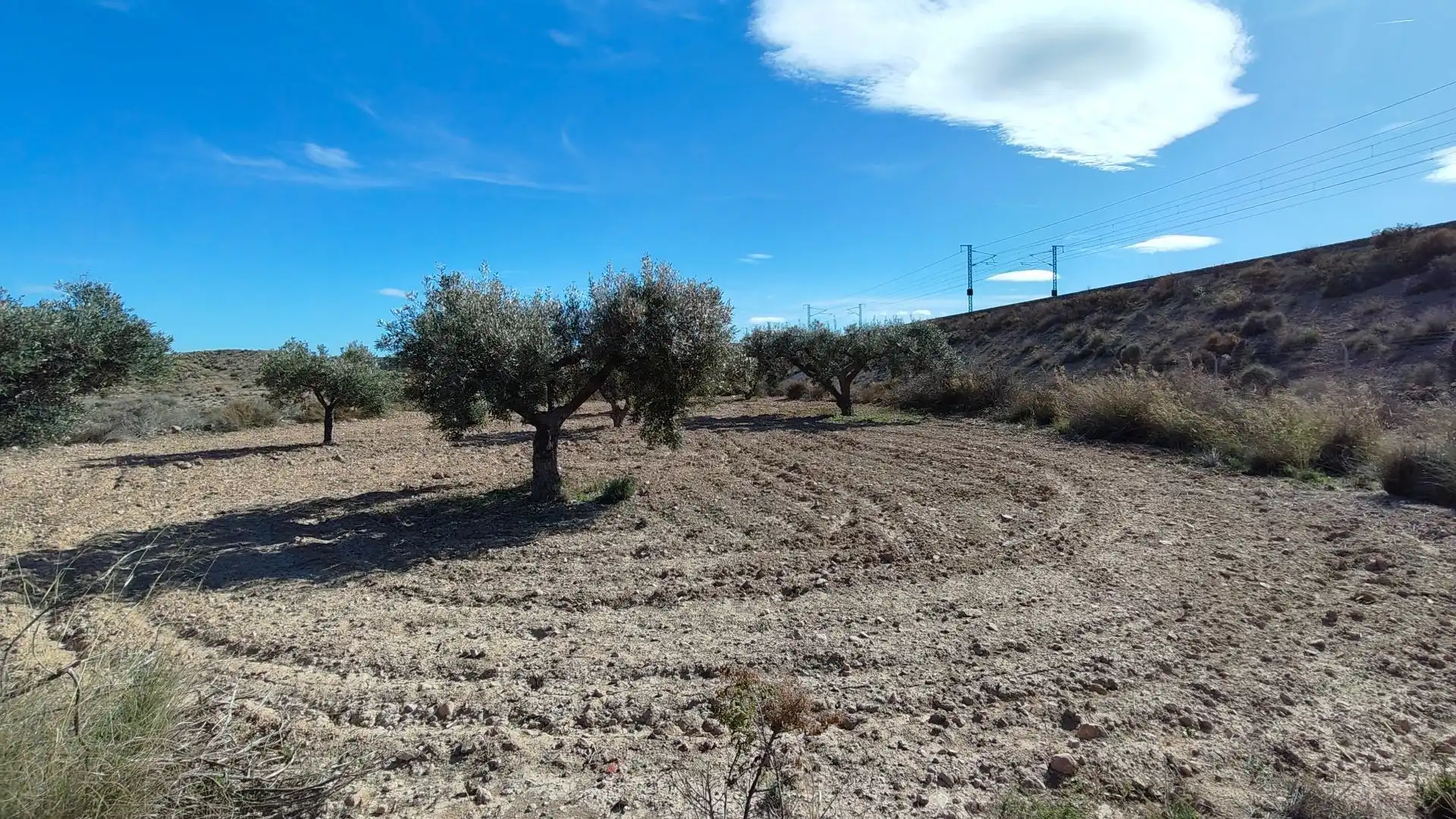 Terreno rustico in vendita a Campo Alto - Club de Campo, imagen 13