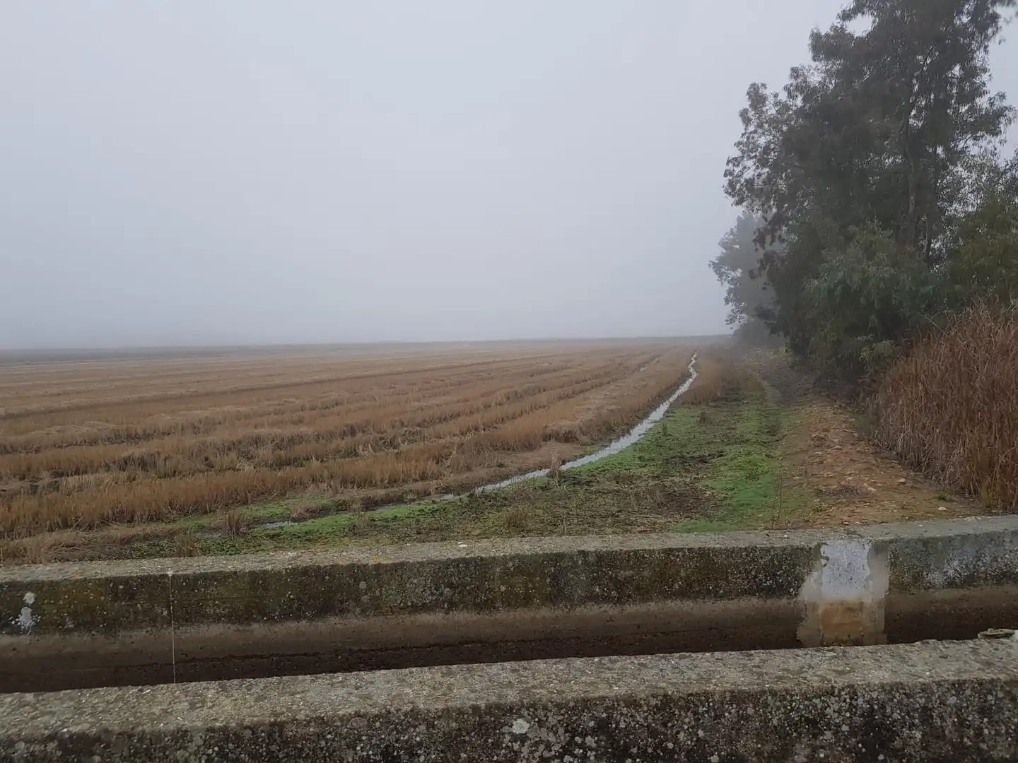 Terreni e lotti in vendita a Don Benito, imagen 6