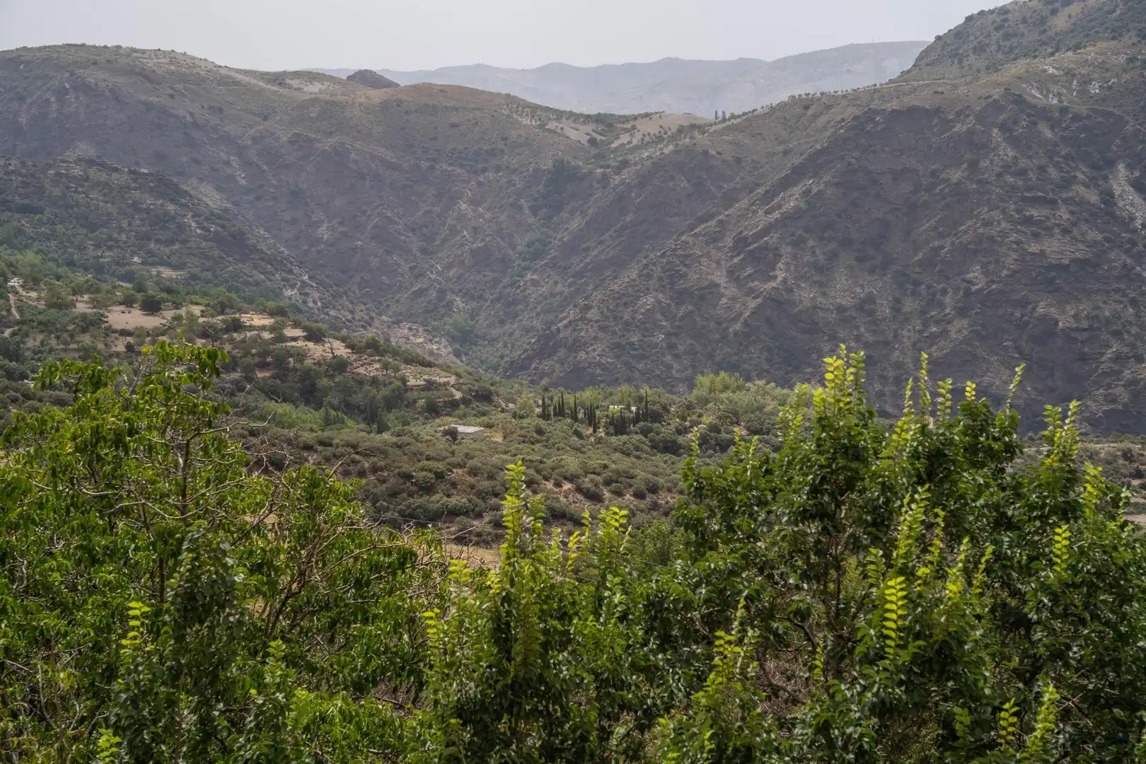 Vista exterior de Casa o xalet en venda en La Taha amb Traster