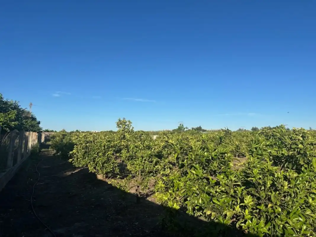 Terreno en venta en Xeresa