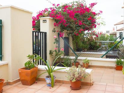 Terrace of Single-family semi-detached for sale in Ayamonte  with Air Conditioner, Private garden and Terrace