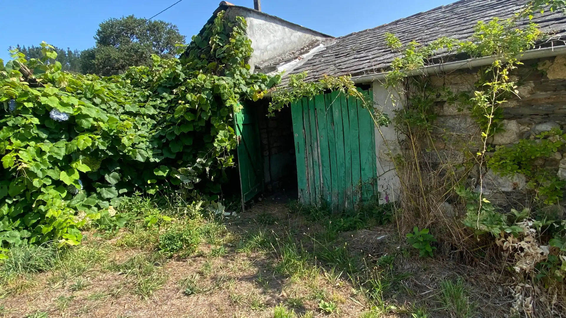Houses for sale in Abadín  with Private garden