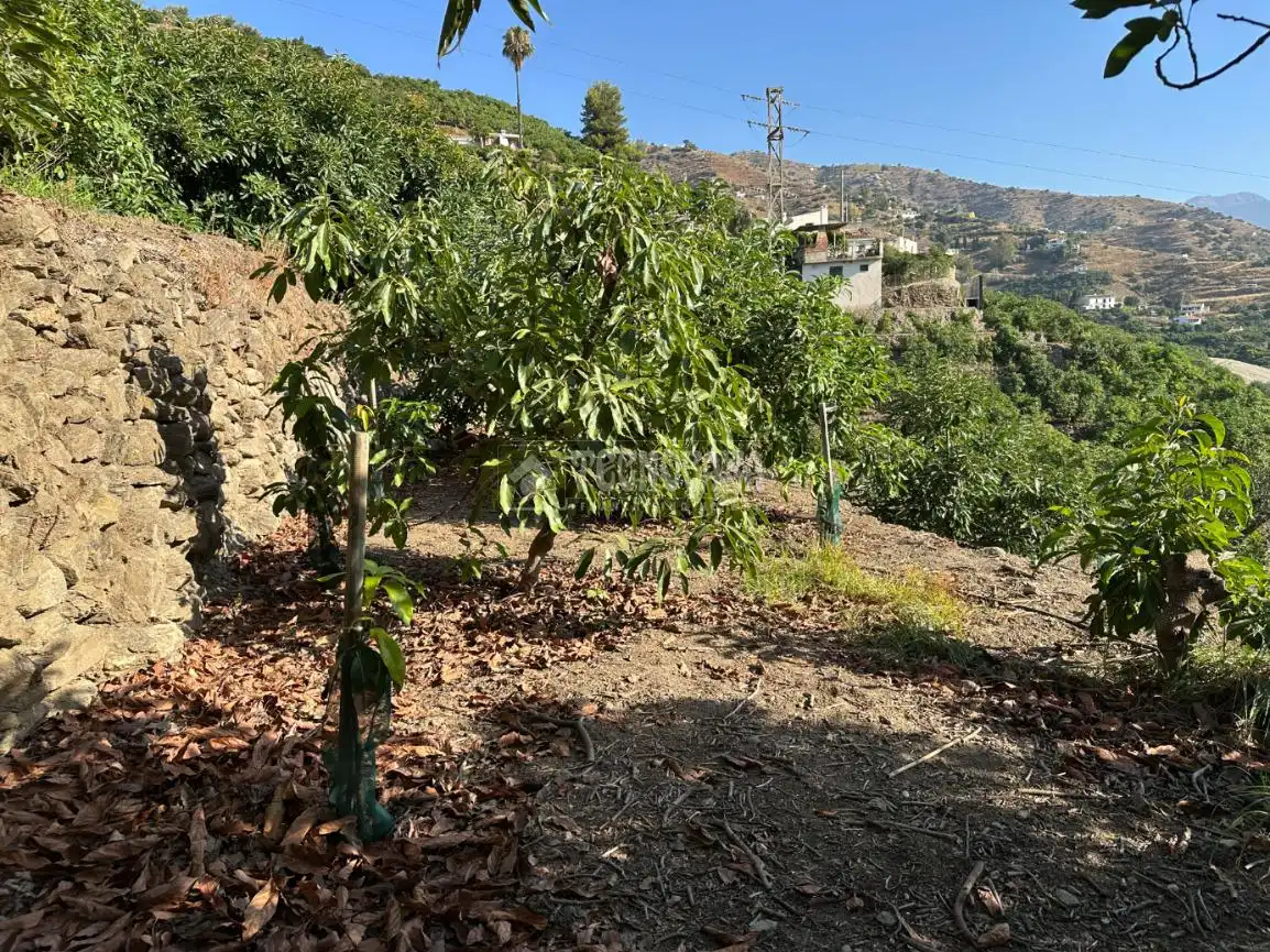 Terreni e lotti in vendita a Torrox Pueblo, imagen 16