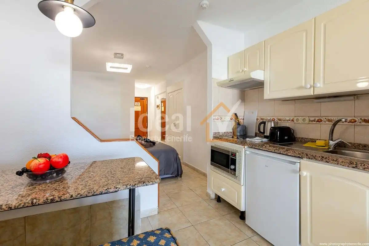Vista exterior de Estudio en venta en Adeje con Aire acondicionado, Terraza y Amueblado
