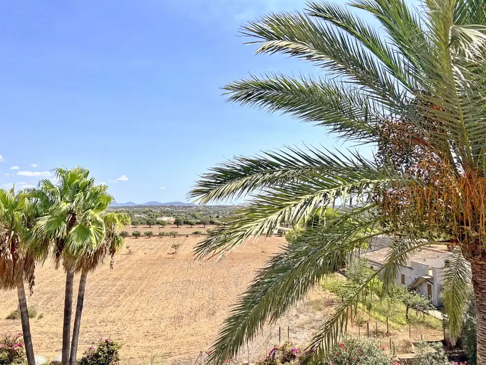Casa o xalet en venda en Ses Salines amb Aire condicionat, Calefacció i Terrassa