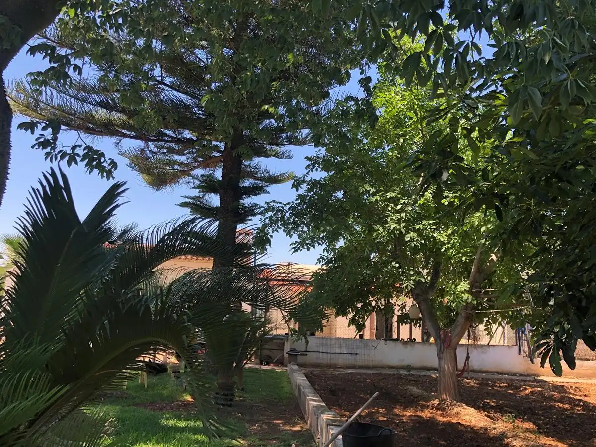 Maison rustique à vendre à Ondara, imagen 24