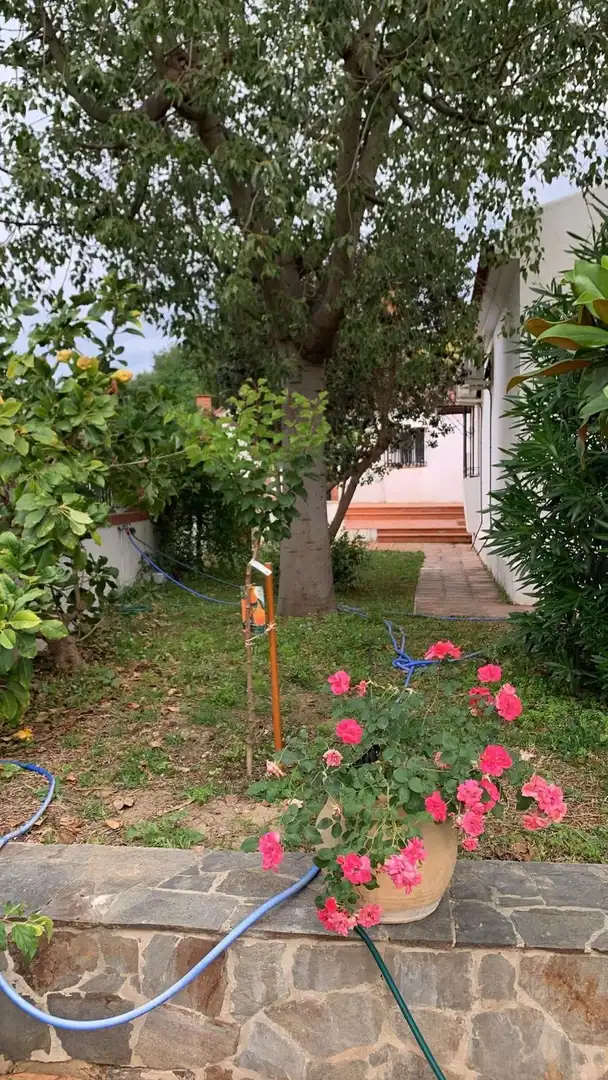 Jardín de Casa o chalet en venta en Alhaurín El Grande con Aire acondicionado, Calefacción y Jardín privado