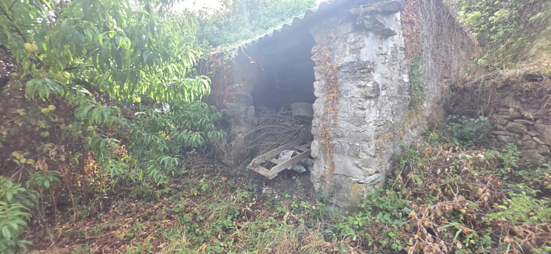 Finca rústica en venda en Valdoviño amb Jardí privat