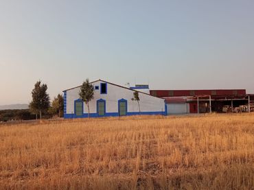 Rural land for sale in Torre de Miguel Sesmero