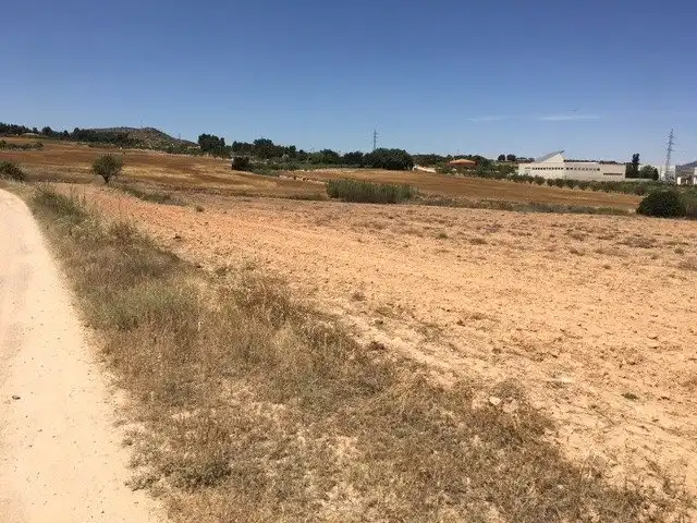 Terreno rustico in vendita a Almansa, imagen 4