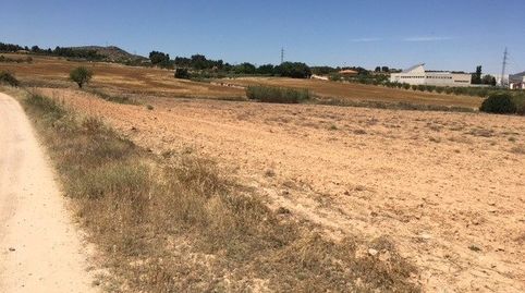 TERRENO CERCANO A LA POBLACIÓN, immagine 4