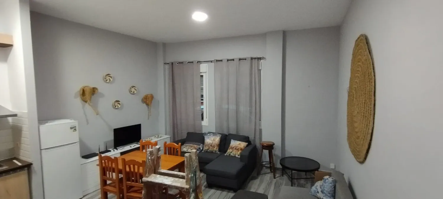 Living room of Flat to rent in Málaga Capital  with Furnished, Washing machine and Microwave