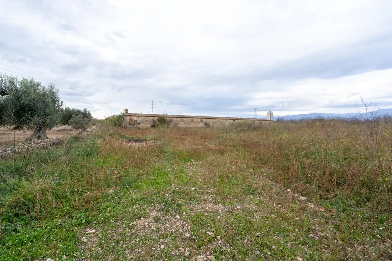 Rural land for sale in Ulldecona, imagen 8