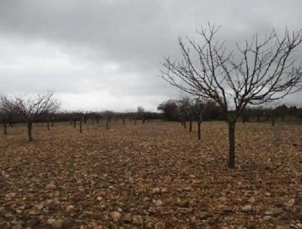 Terreno rústico en venta en Covarrubias, imagen 2