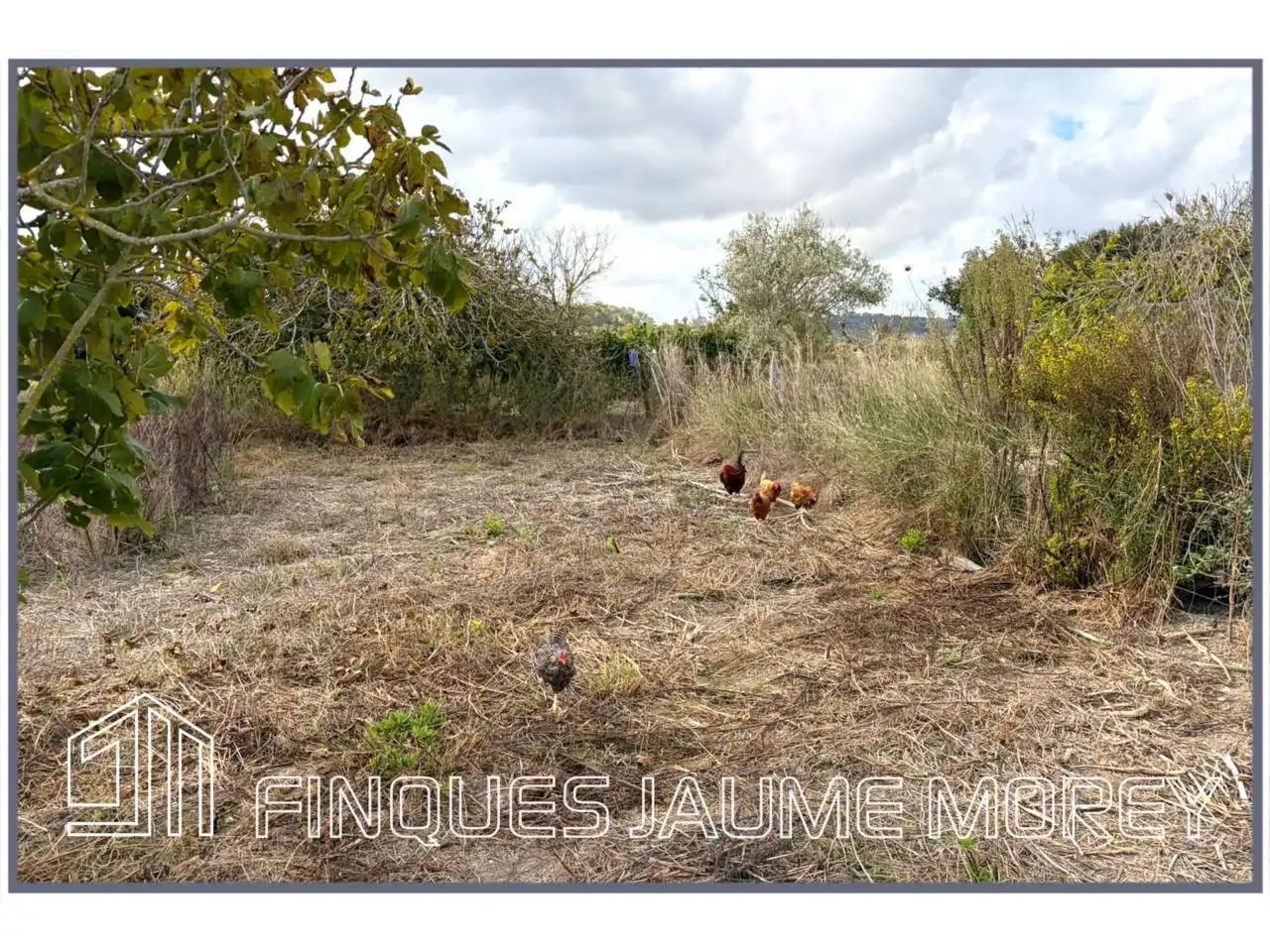 Finca rústica en venta en Maria de la Salut con Jardín privado