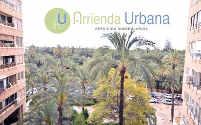Garden of Flat for sale in Elche / Elx  with Air Conditioner and Balcony