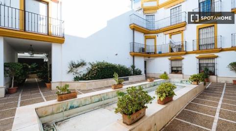 Photo 4 of Apartment to share in Arenal - Museo, Sevilla