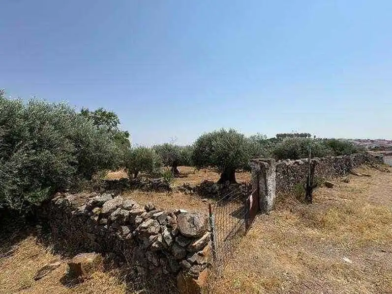 Maison à vendre à Valverde de Leganés, imagen 7