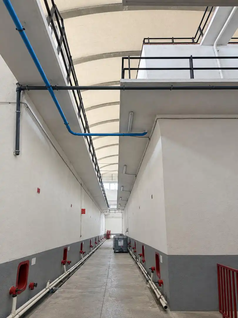 Nave industrial en venta en Barceloneta -  Molí d'en Rovira, imagen 10