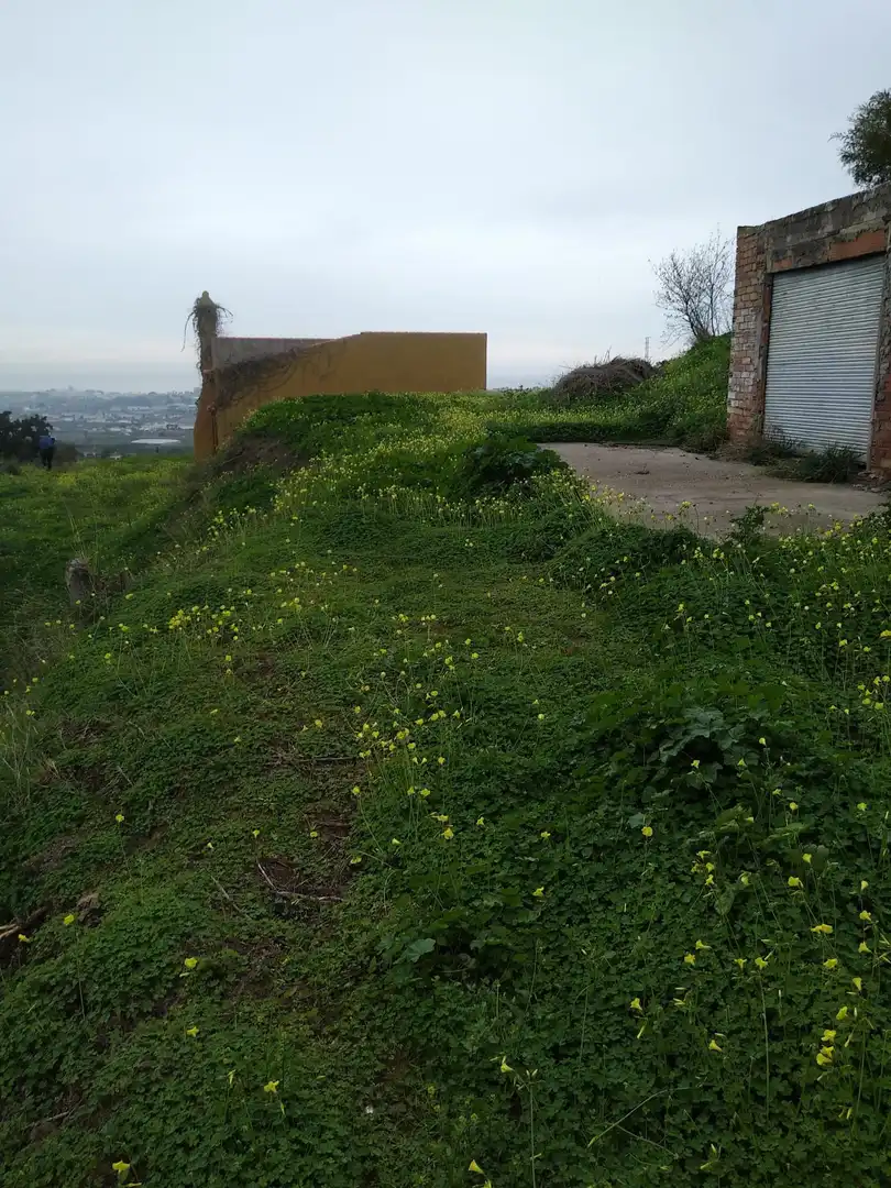 Casa rústica amb jardí en venda a Motril  ciudad, imagen 7