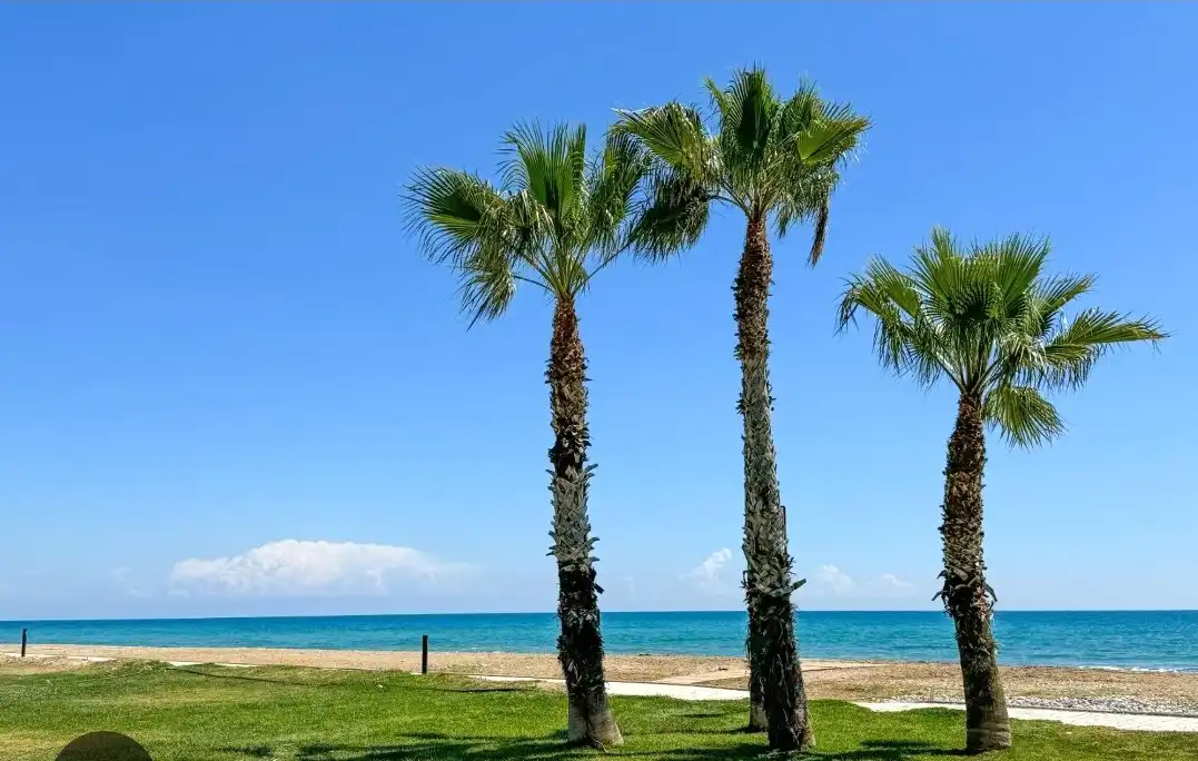 Exterior view of Flat for sale in Oropesa del Mar / Orpesa  with Air Conditioner, Heating and Private garden