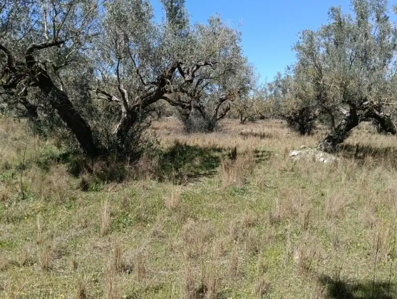 Finca rústica en venda en Roquetes