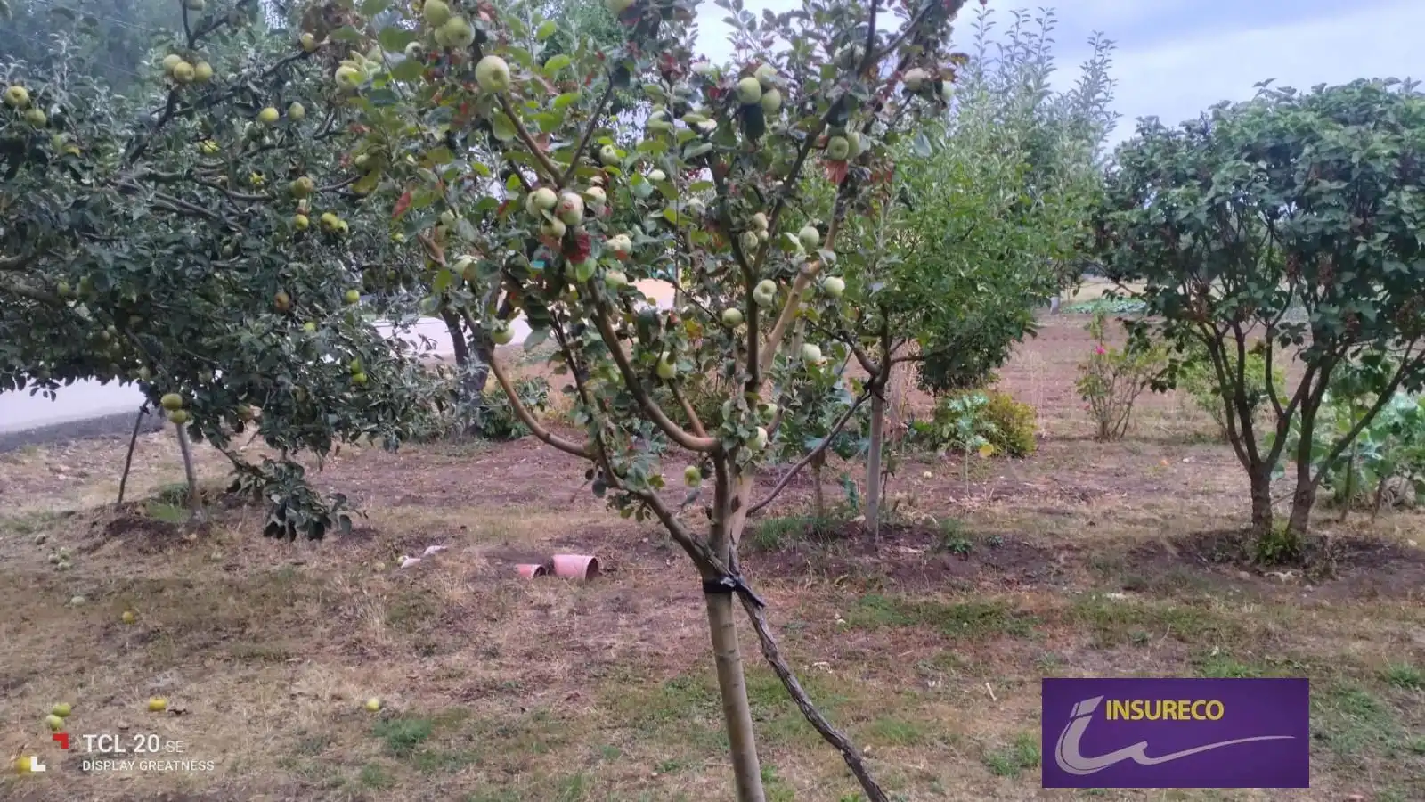 Rural land for sale in Sol-S Feliz Orb, imagen 13