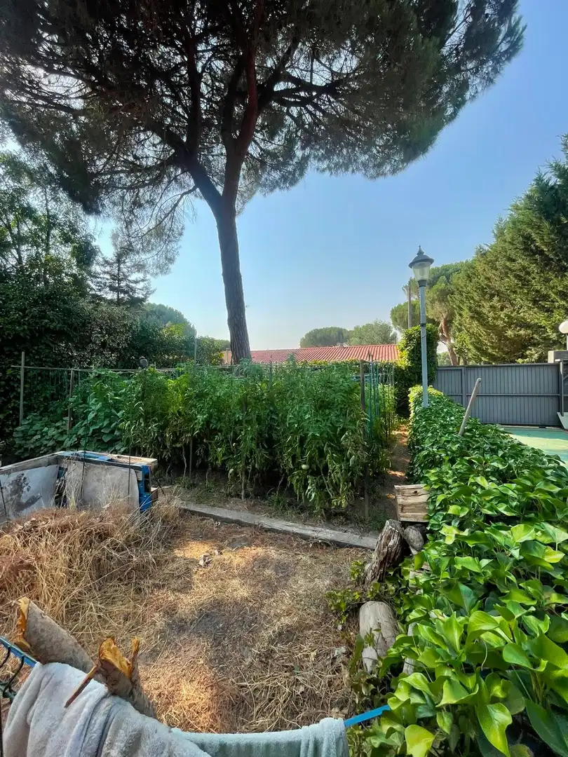 Chalet con piscina en venta en Tudela de Duero, imagen 31