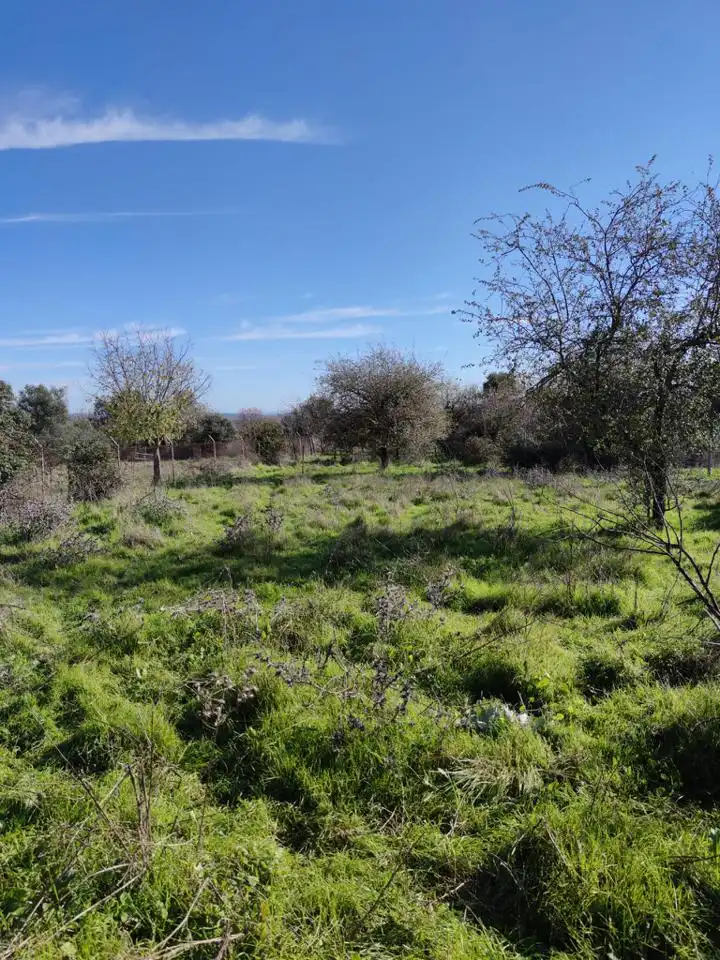 Finca rústica en venta en Santa Barbara, Malpartida de Plasencia