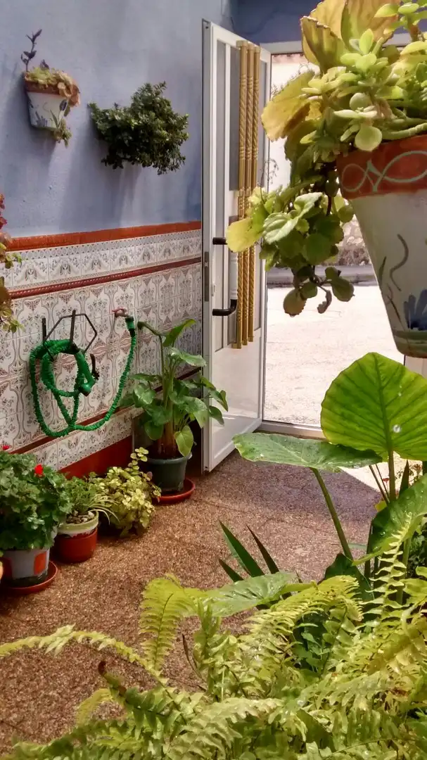 Casa o chalet en venta en Vara de Rey