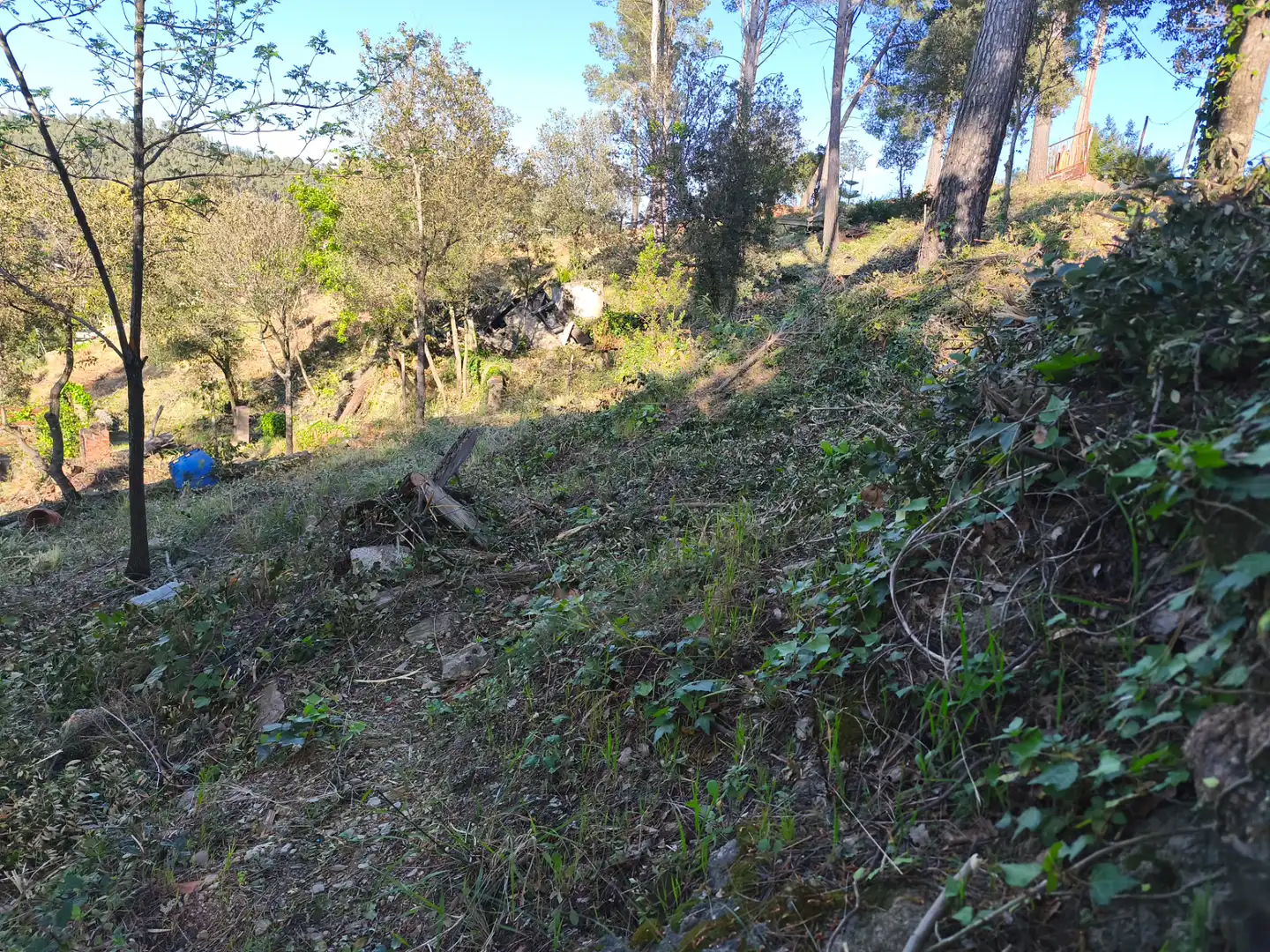 Terreno residencial en venta en Tercera Avinguda, imagen 6
