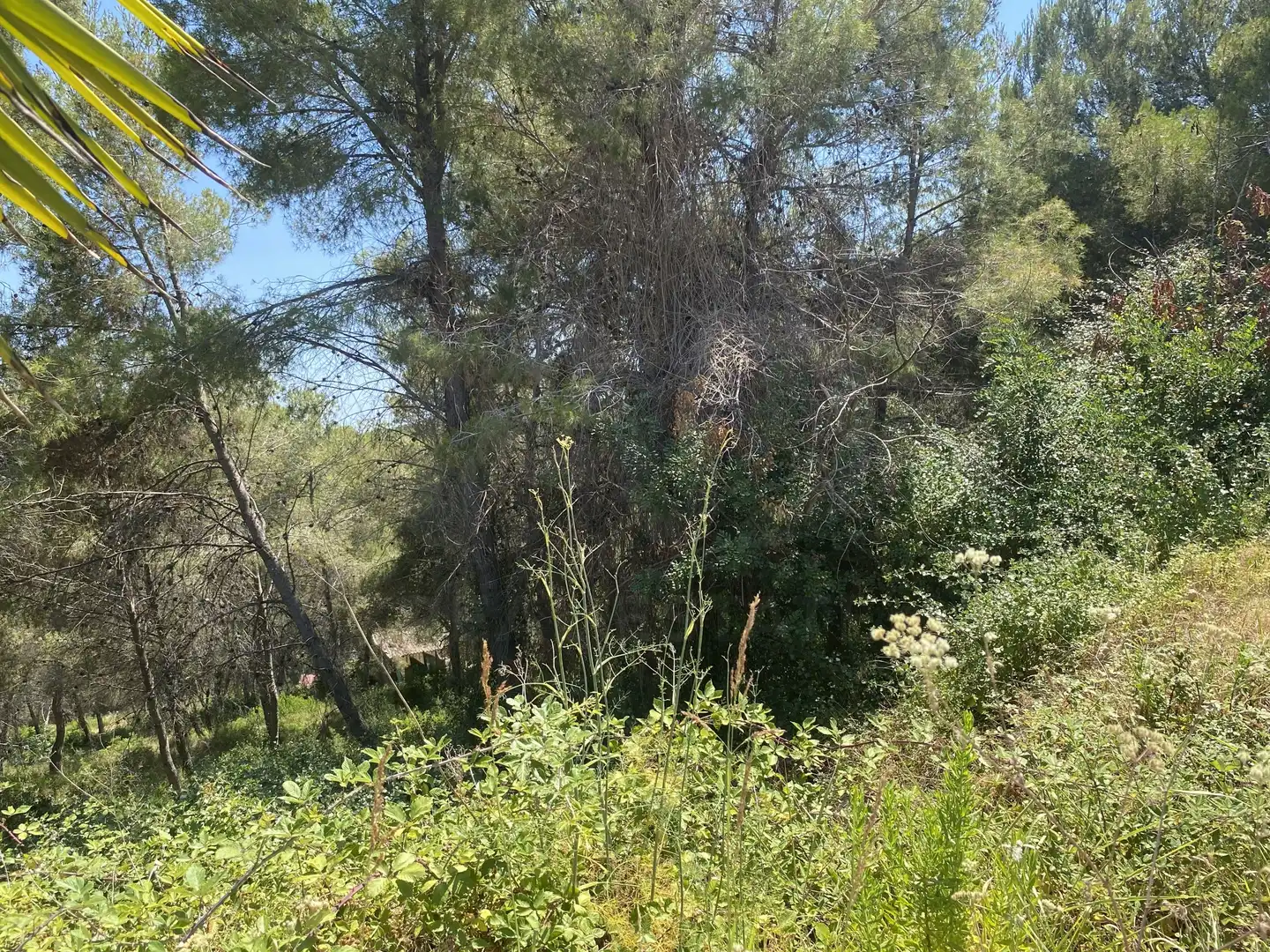 Residential land for sale in Urbanitzacions de Llevant, imagen 4