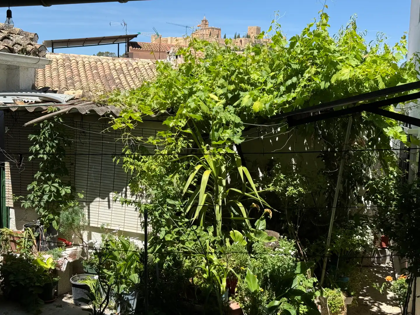 Jardí de Casa o xalet en venda en Alcalá la Real amb Calefacció, Jardí privat i Terrassa