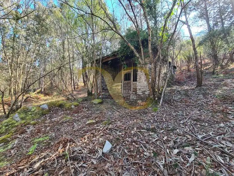 Casa o xalet en venda en Villayón amb Jardí privat