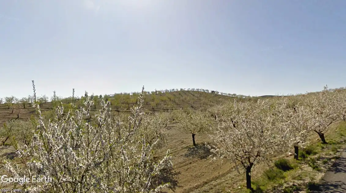 Terreno rustico in vendita a Taberno, imagen 8